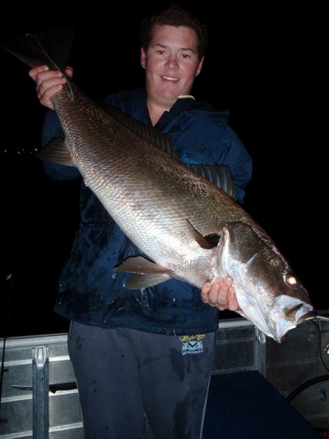 Swan Mulloway